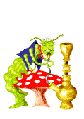Gif animé chicha 